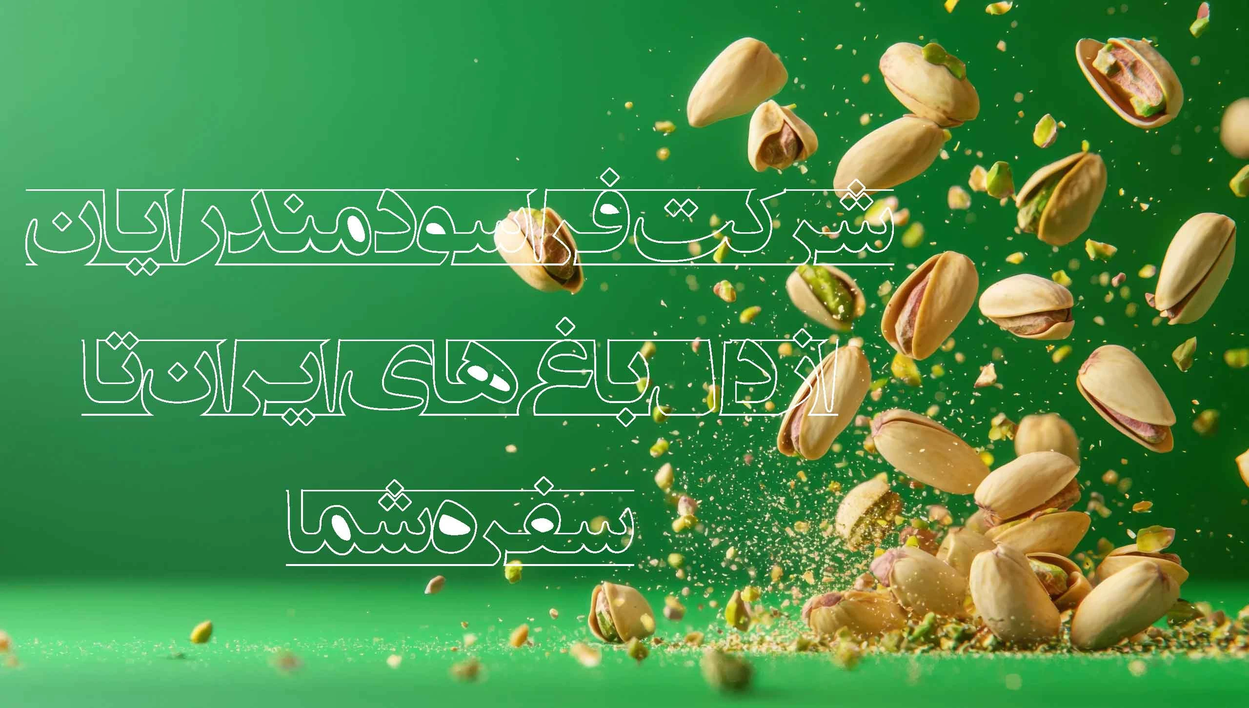 شرکت فراسودمند رایان-سورتینگ پسته